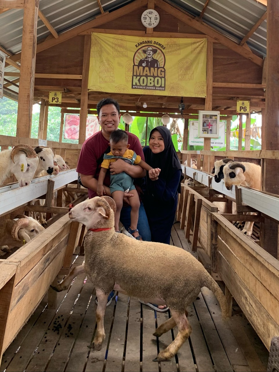 Qurban di mangkoboii